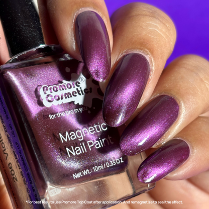 Magnetic Nailpaints - Silk Touch